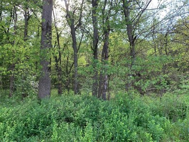 0 Jaybird Rd unit 1184110, Maysville, AR 72747 - photo 2