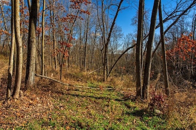 0 Turben Ridge Rd, Clayton, WI 54655 - photo 4