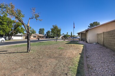 3213 E Emerald Cir-7