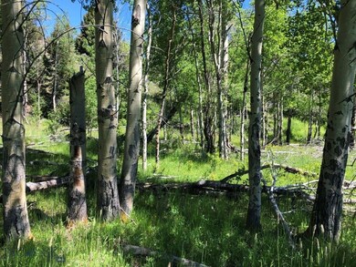 View of nature