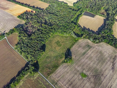 0 W State Line Rd unit RTC3033861, Adams, TN 37010 - photo 5