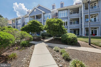 1125 Lake Heron Dr unit 3B, Annapolis, MD 21403 - photo 4