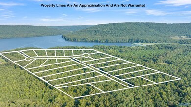 unlisted-address, Langston, AL 35755 - photo 6