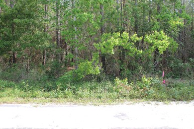 Road frontage