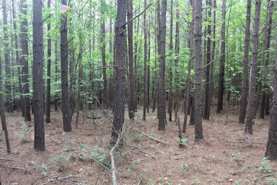 0 Strawberry Rd unit 69143, Chatham, VA 24531 - photo 4