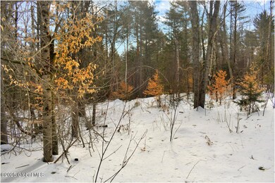 L96 Highview Ln unit Lot 12, Wevertown, NY 12886 - photo 5