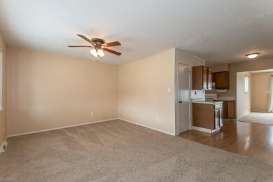 1667 Ridgeview Dr, Wickliffe, OH 44092 - photo 3