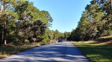 0 SW 93rd Lane Rd unit 516240, Dunnellon, FL 34432 - photo 6