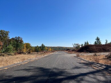 Lot 79 Balsam Hill Rd, Ludlow, MA 01056 - photo 5
