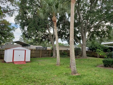 Backyard with Shed
