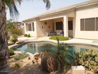 Back yard POOL