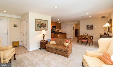 1002 Primrose Rd, Annapolis, MD 21403 - photo 5