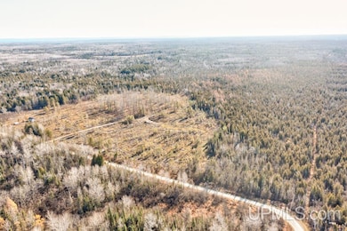 9311 County 509 Y Rd, Ensign Township, MI 49878 - photo 3