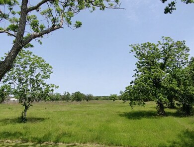 0 County Road 519, Brazoria, TX 77422 - photo 5