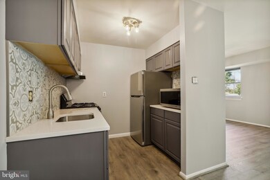 2309 Greenery Ln unit T-2-1, Silver Spring, MD 20906 - photo 4
