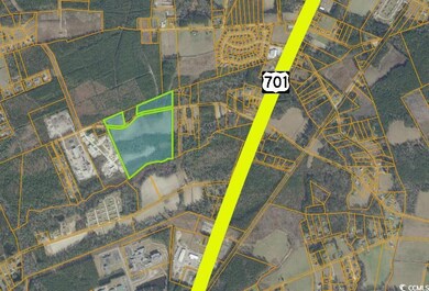 TBD Mount Pisgah Cemetery Rd unit Parcel C, Conway, SC 29526 - photo 3