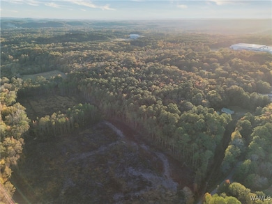 0 Pleasant Way, Jasper, AL 35501 - photo 3