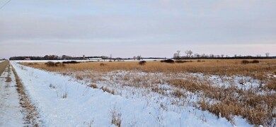 Parcel 6 Willow Rd NE, Carlos, MN 56319 - photo 6