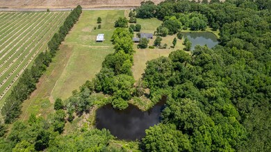 3516 Thomas Rd, Albany, GA 31705 - photo 3