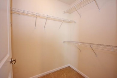 large walk in closet in Master Bedroom