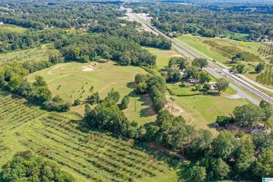 22248 U S Highway 31 unit 1, Thorsby, AL 35171 - photo 6