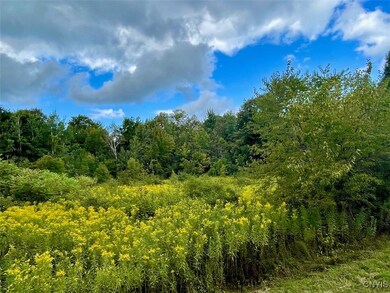 0 Maiden Lane Rd unit S1636648, Oswego, NY 13126 - photo 2