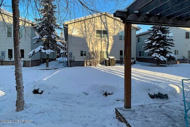 Gazebo & Yard