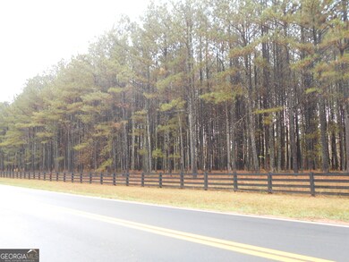 173 Youth Jersey Rd, Covington, GA 30014 - photo 7