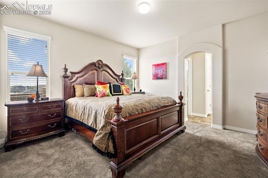 7692 Wichita Ridge Point, Colorado Springs, CO 80923 - photo 4