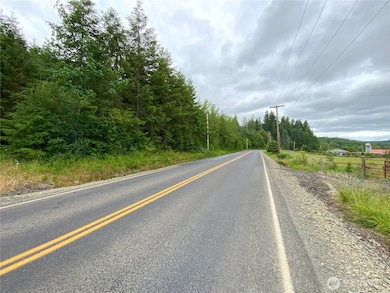 0 Bunker Creek Rd unit NWM2433960, Adna, WA 98522 - photo 3