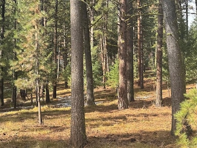 TBD Sorrel Dr unit 21, New Meadows, ID 83654 - photo 6