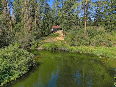 19228 N Little Spokane Dr, Colbert, WA 99005 - photo 3