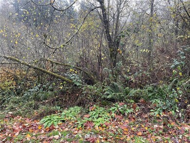 unlisted-address, Orting, WA 98360 - photo 5