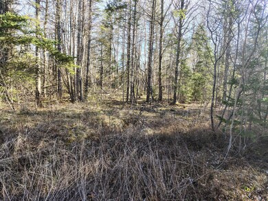 IMG_20250505_170144801_HDR