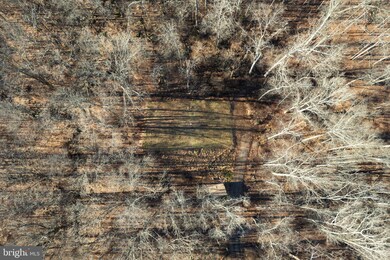 611 Haycock Run Rd, Kintnersville, PA 18930 - photo 5