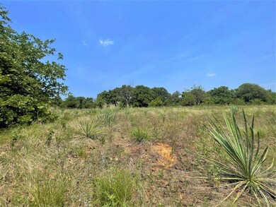 TBD Advance Rd, Poolville, TX 76487 - photo 6