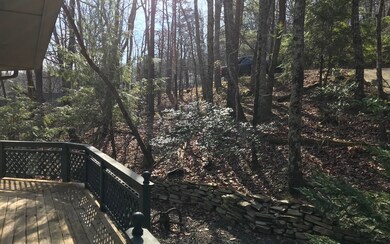 Additional View