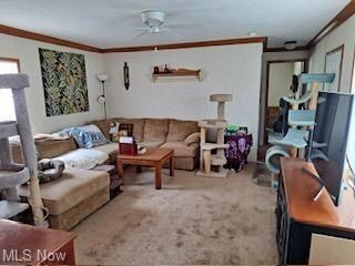 Living room 2