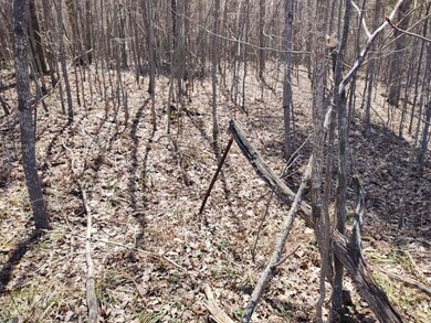 Miller - west line stake