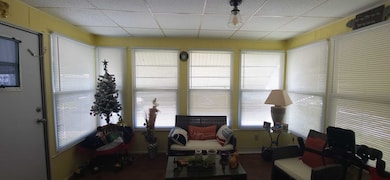 9109 Rawlins Ave, Port Richey, FL 34668 - photo 5