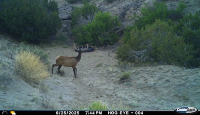 000 Tba Rd, Quemado, NM 87829 - photo 6