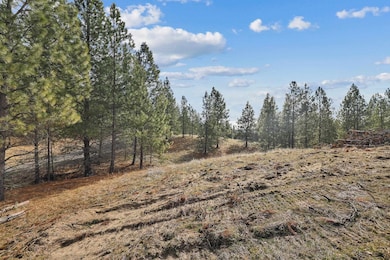 NKA Weaver Rd unit Lot 3 of Lot 11, Deer Park, WA 99006 - photo 3