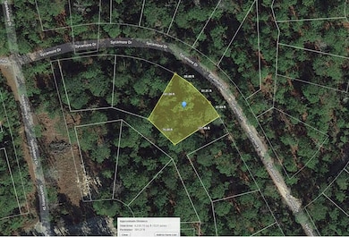 Tallowood Dr, Brookeland, TX 75931 - photo 3