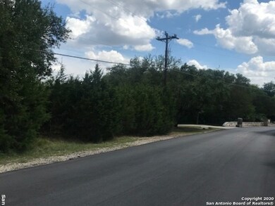 8606 Classic Oaks Ln, San Antonio, TX 78255 - photo 4