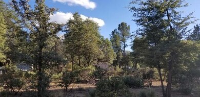 409 E Alpine Dr, Payson, AZ 85541 - photo 3