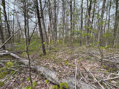 Forestview pic 5