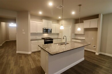 1120 Eastland Ln, Weatherford, TX 76087 - photo 5