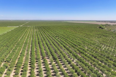 2023-09-07-Schuil-Farms-for-Sale-Wasco-2