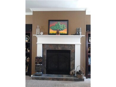 Other Gas fireplace