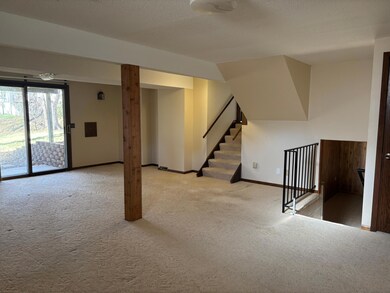 large lower level family room